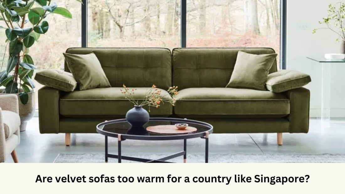 Green velvet sofa