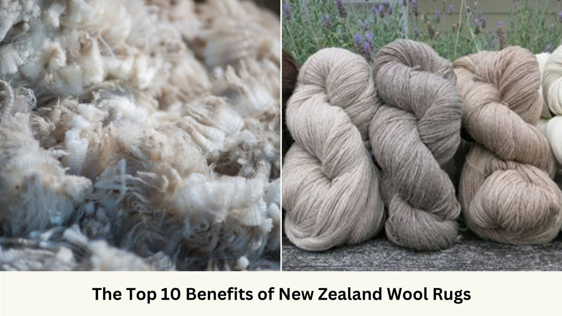 Illustration of New Zealand Wool