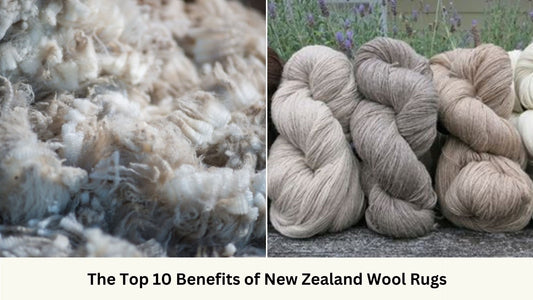 Illustration of New Zealand Wool