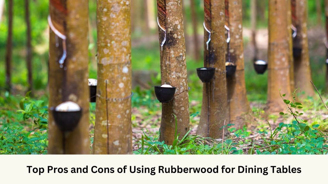 Rubber wood plantation