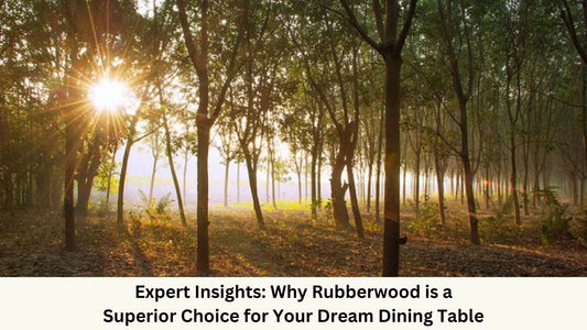 Rubber Tree Plantation