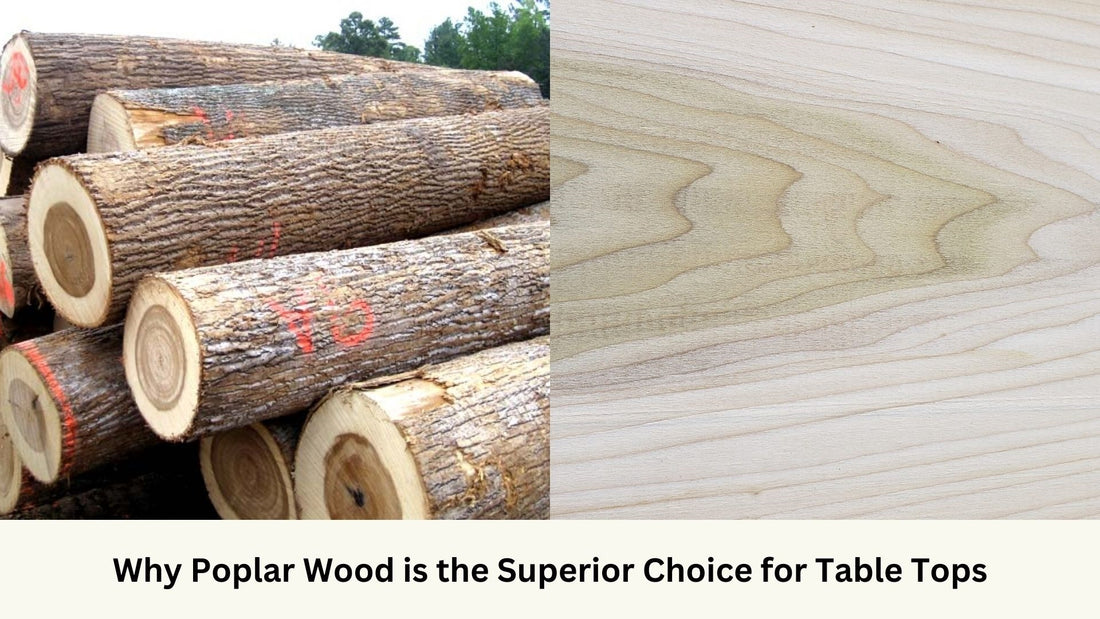 Poplar wood log and timbre display