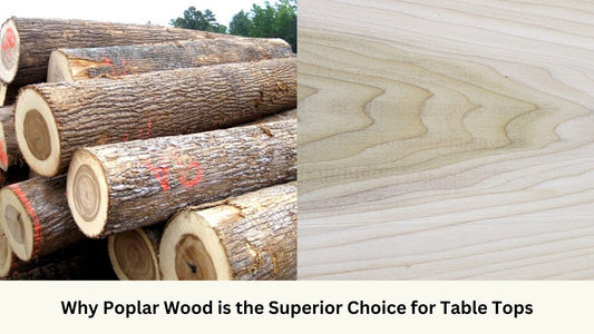 Poplar wood log and timbre display