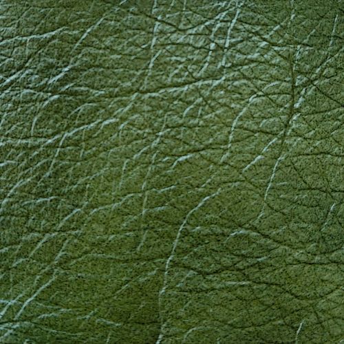 Leather swatch for Omega 8289, green colour