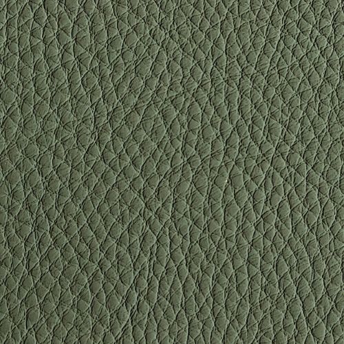 Leather swatch for Remy 530, green colour