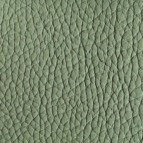 Leather swatch for Remy 911, green colour