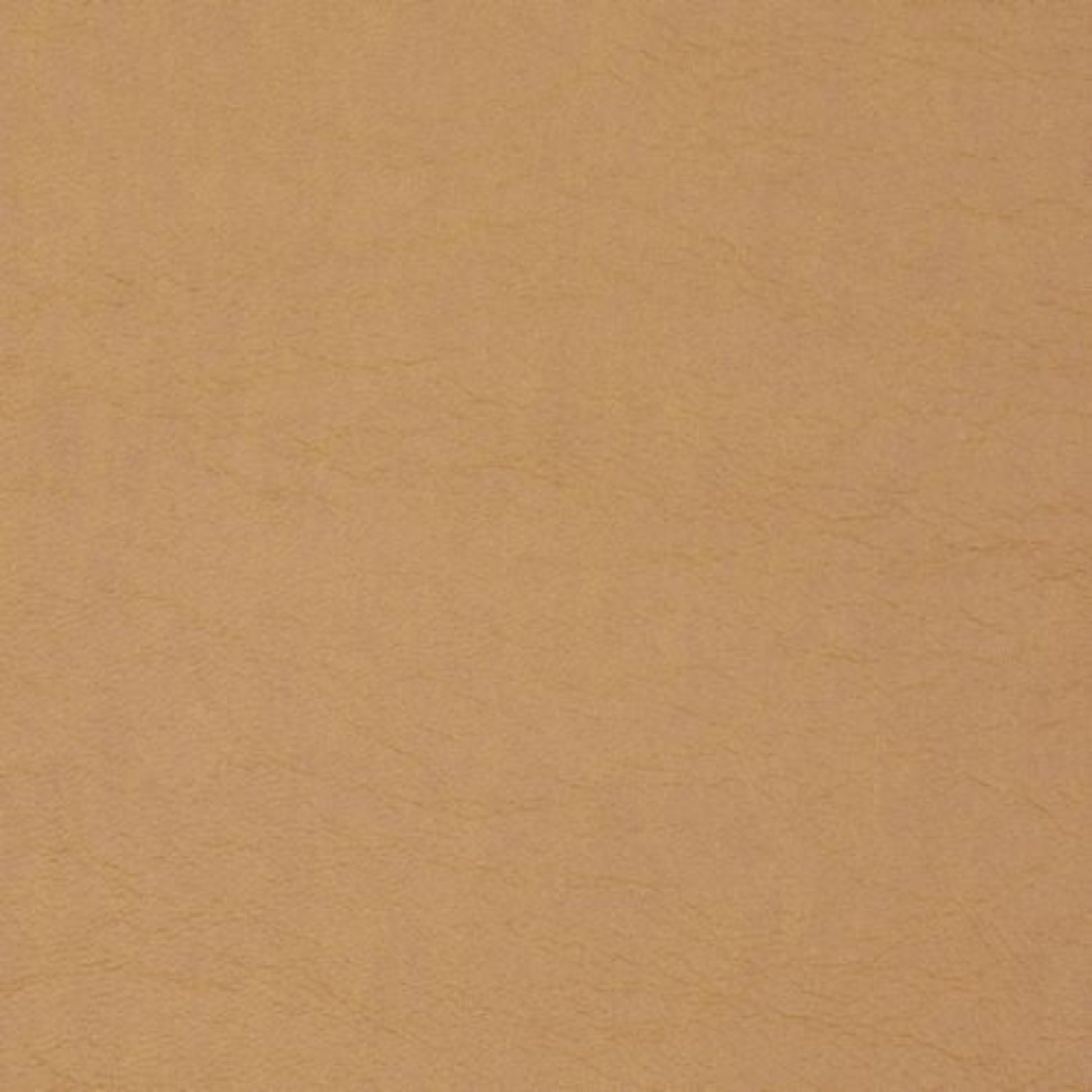 brown leather swatch