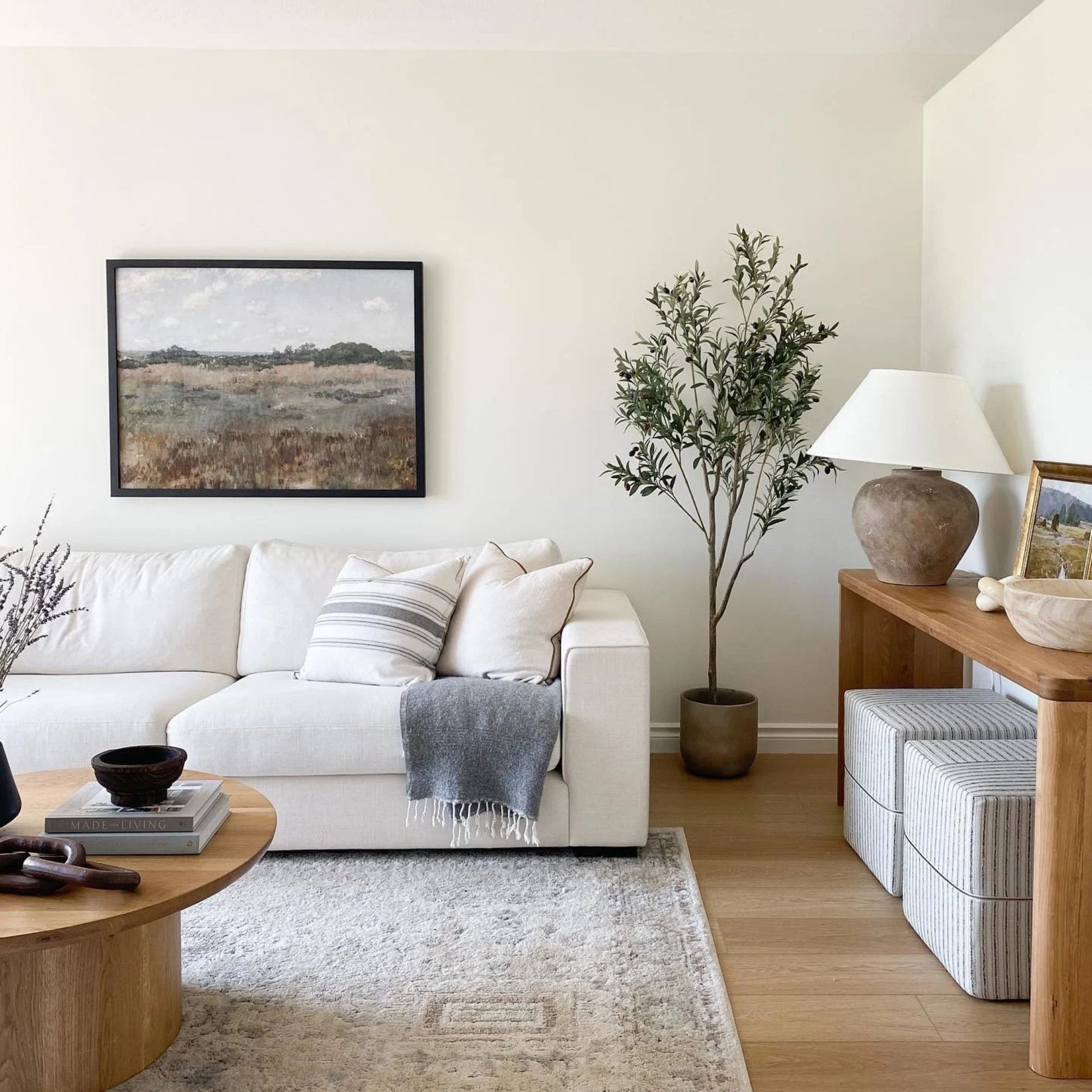 coastal white fabric sofa