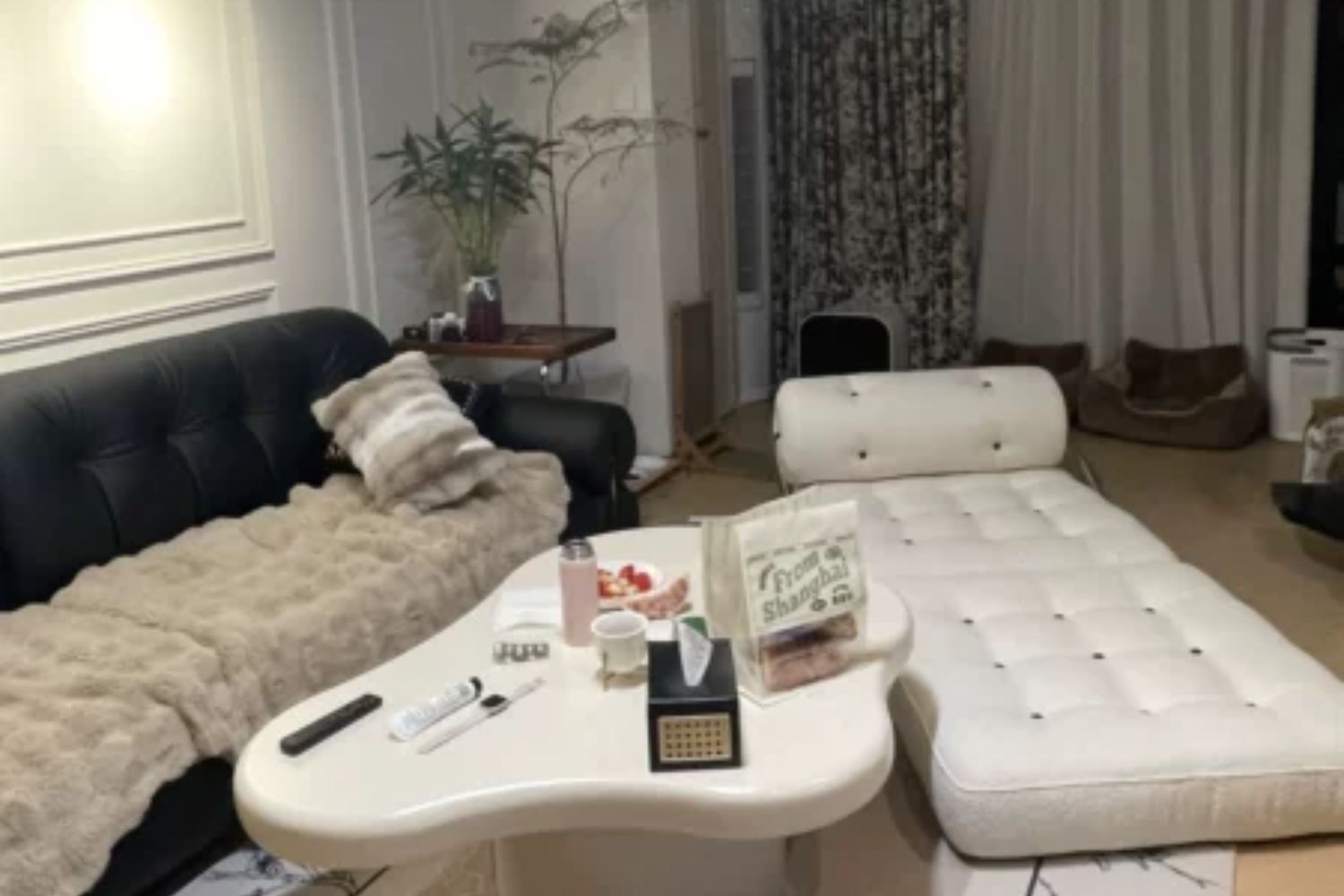 Cob white fabric sofa bed in real homes