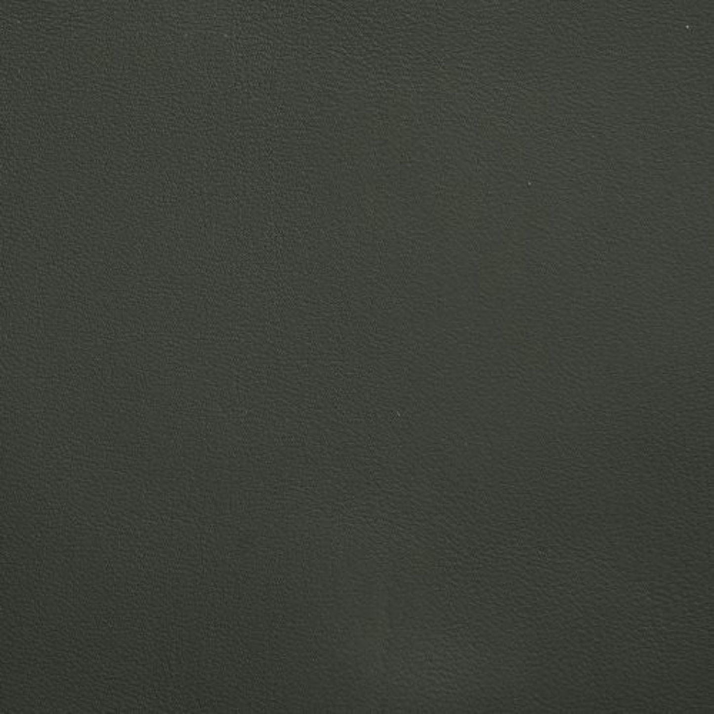 Colby dark green top grain half leather 2 seat sofa