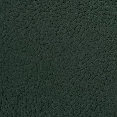 Leather swatch for Lucas 829, green colour