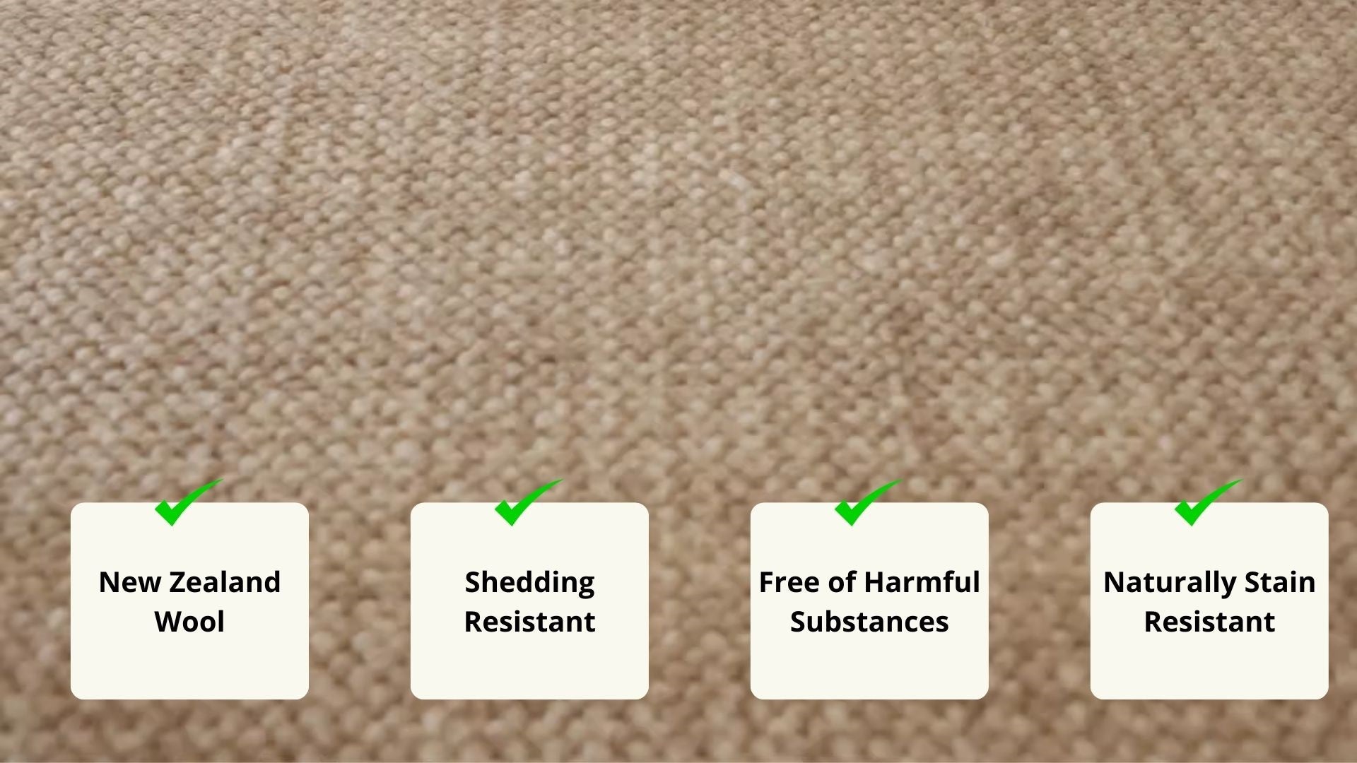 Rug feature highlights for Celine_wool_rug_beige