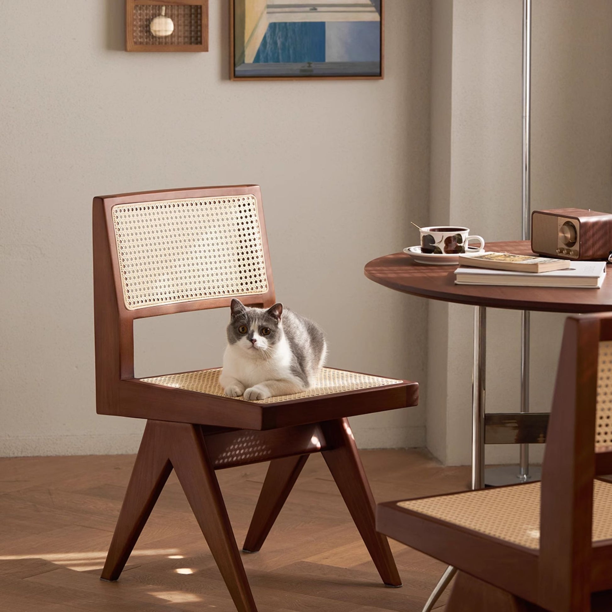 Tara poplar wood chair