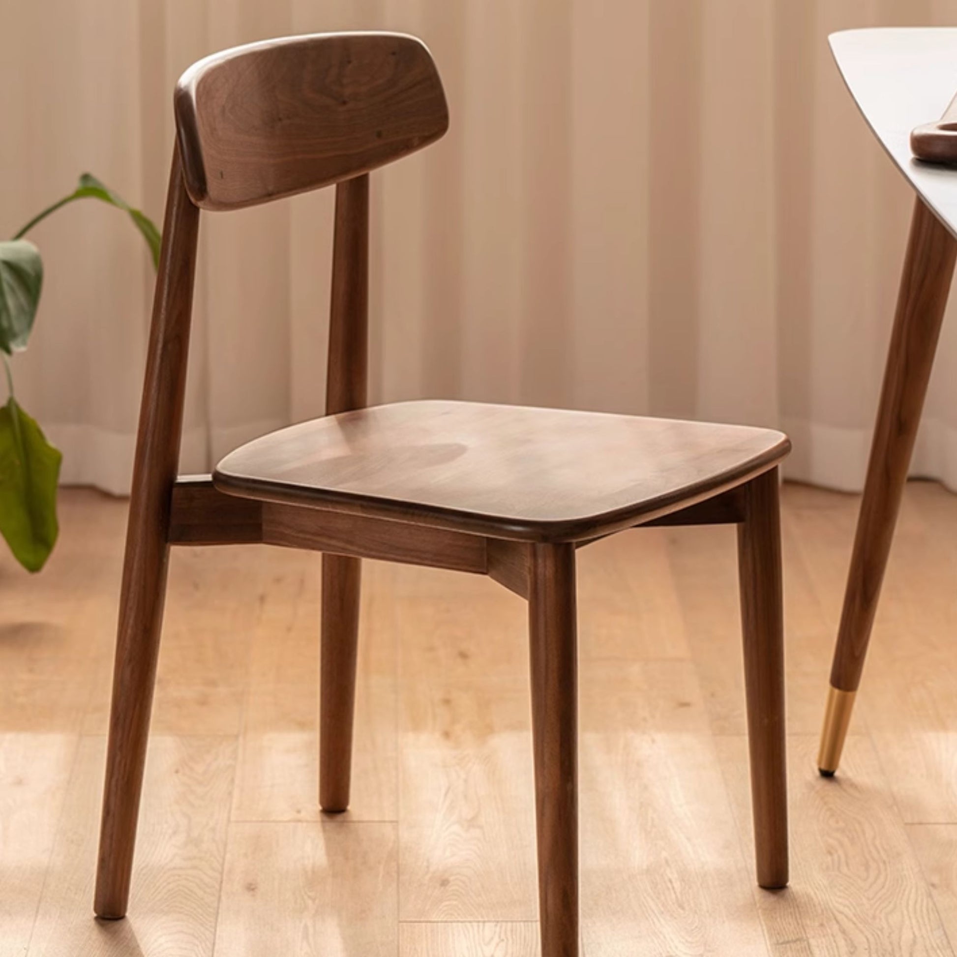 Terra oak wood chair in walnut finish