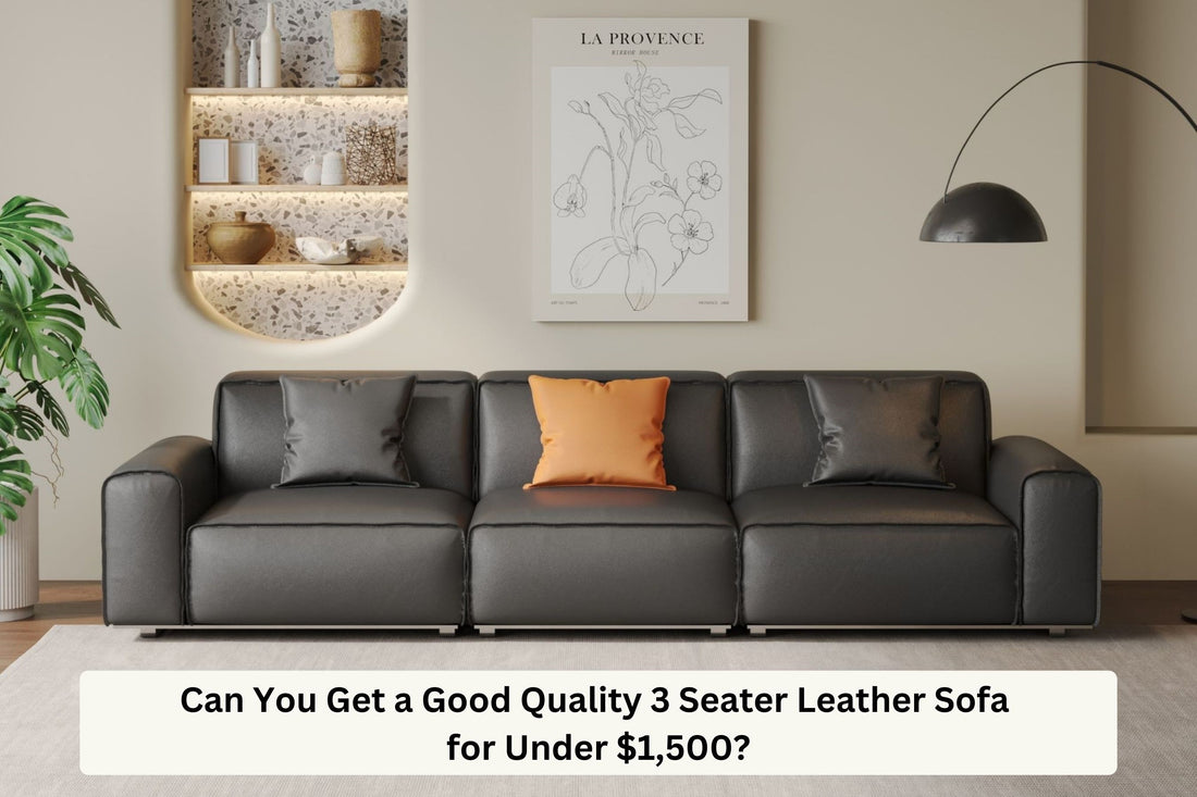 Blog banner leather sofa and blog title