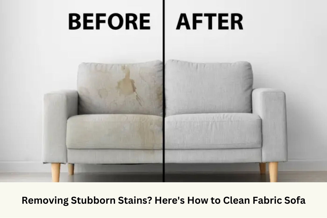 Before after comparison for sofa cleaning