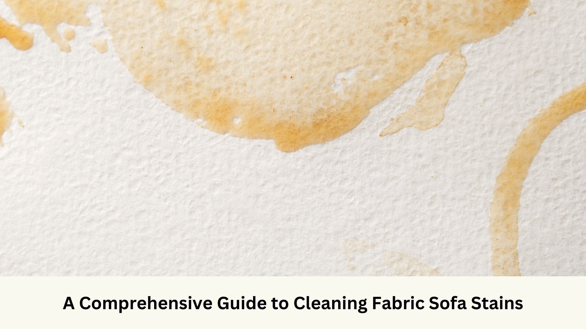 A Comprehensive Guide to Cleaning Fabric Sofa Stains – Cozylant
