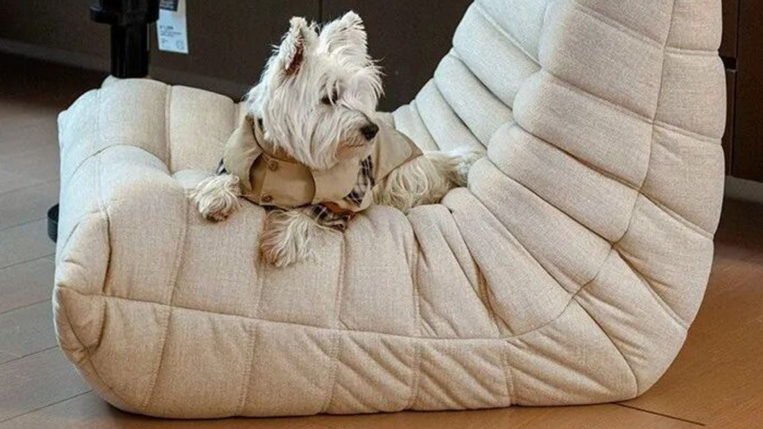 Are Pet-Friendly Fabrics Really Scratch-Proof?