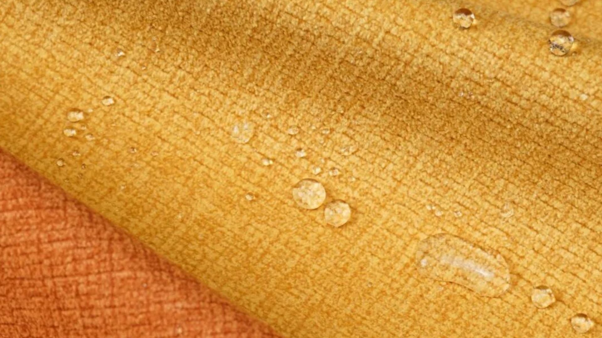 How Long Does Water and Stain Resistance Actually Last?
