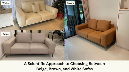 Comparison of white, beige and brown sofas