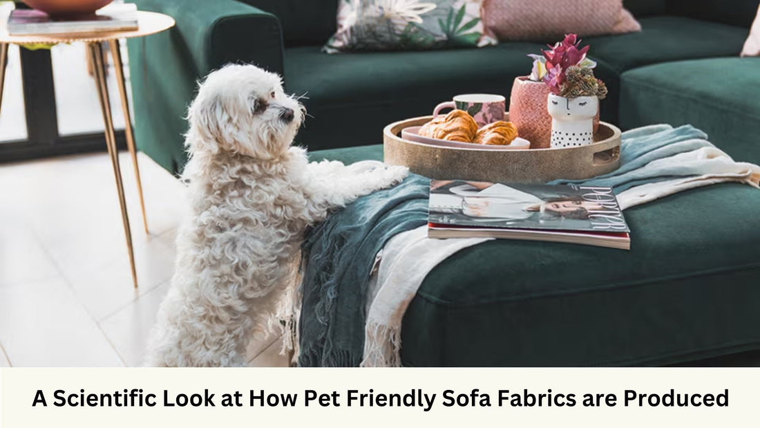 Dog scratching on fabric sofa ottoman