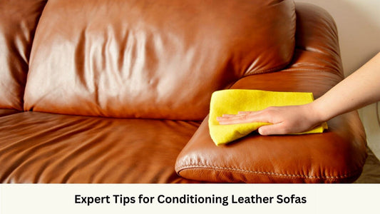 Applying conditioning to leather sofas and then wiping off excess conditioner with cloth