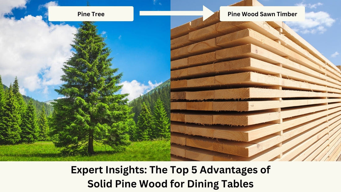 Pine tree and pine wood sawn timber