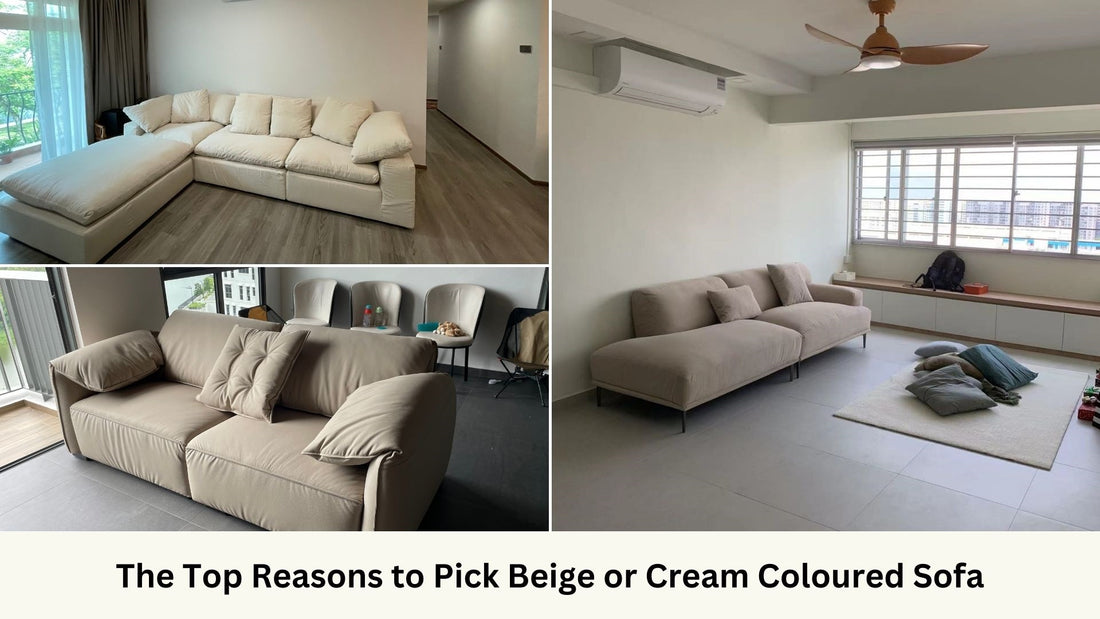 The Top Reasons to Pick Beige or Cream Coloured Sofa