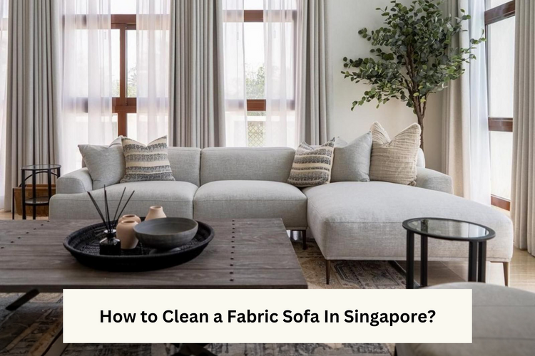 How to clean a fabric sofa in Singapore?