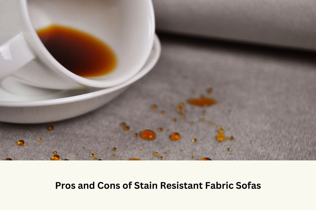 Pros and cons of stain resistant fabric sofas