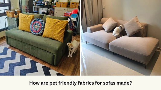 Pet friendly sofa bed and one arm sofa samples