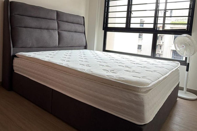 Serenity Queen Mattress Sample 1