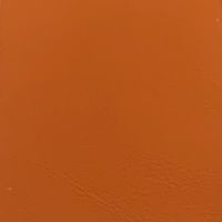Leather swatch for Brady 13, orange colour