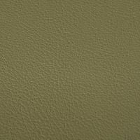 Leather swatch for Brady 19, green colour