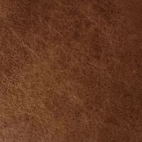 Leather swatch for Dakota 02, brown colour