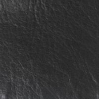 Leather swatch for Dakota 10, black colour