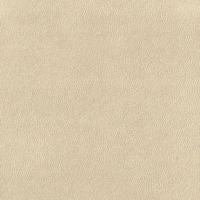 Fabric swatch for Ease 42, beige colour