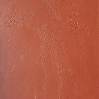 Leather swatch for Remond 19, orange colour