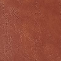 Leather swatch for Remond 22, brown colour