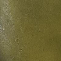 Leather swatch for Remond 24, green colour