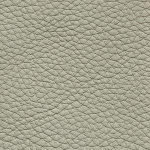 Leather swatch for Remy 527, beige colour