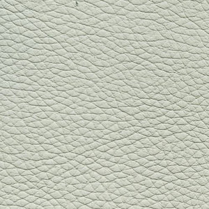 Leather swatch for Remy 905, beige colour