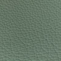Leather swatch for Remy 911, green colour