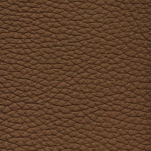 Leather swatch for Remy 919, brown colour