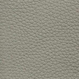 Leather swatch for Remy 581, grey colour