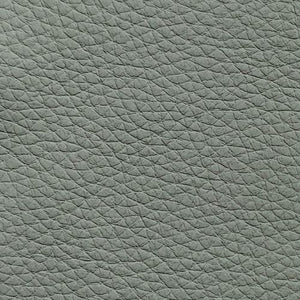 Leather swatch for Remy 582, grey colour