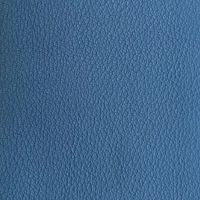 Leather swatch for Run 10, blue colour