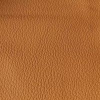 Leather swatch for Run 11, brown colour