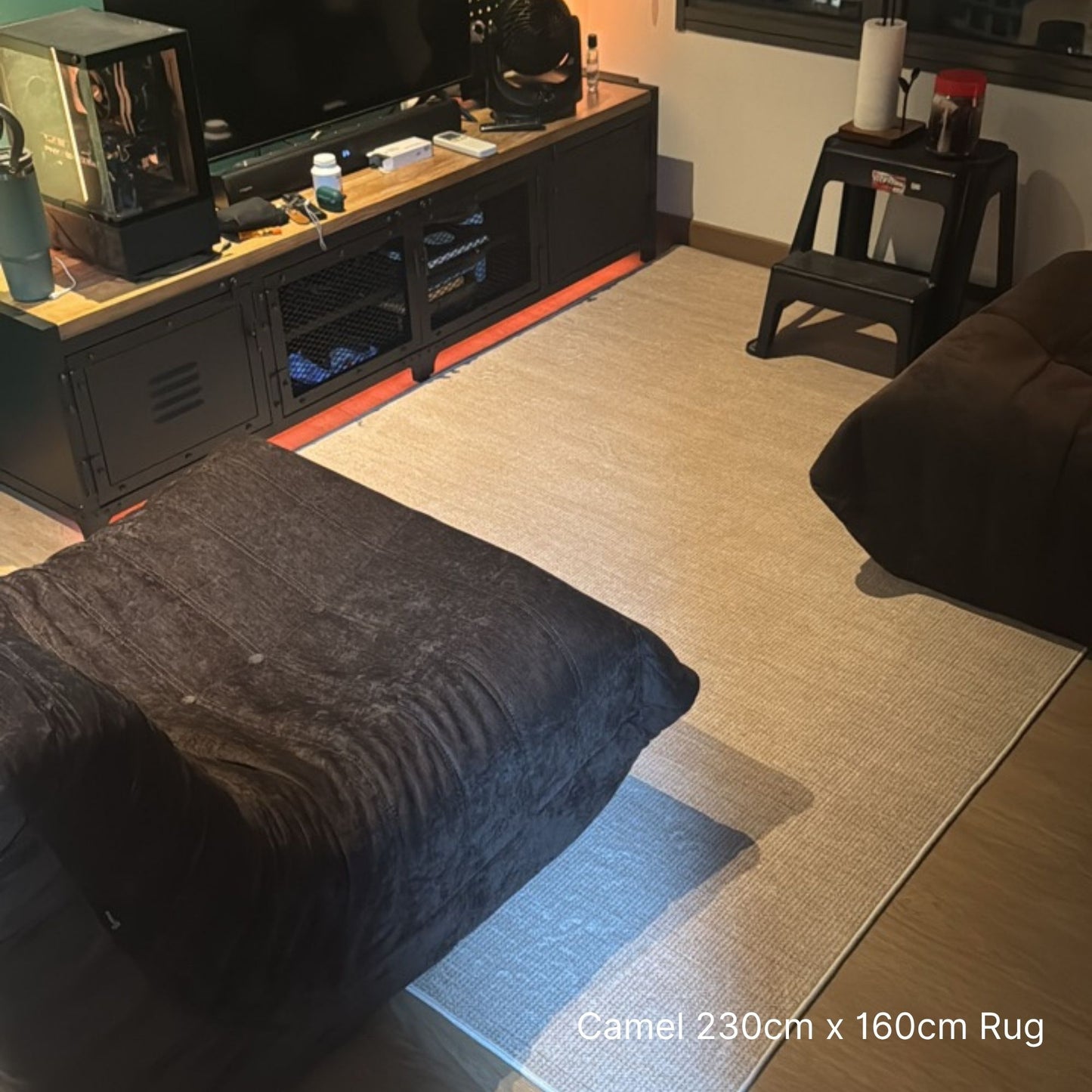 Living room with a camel-colored rug on the floor