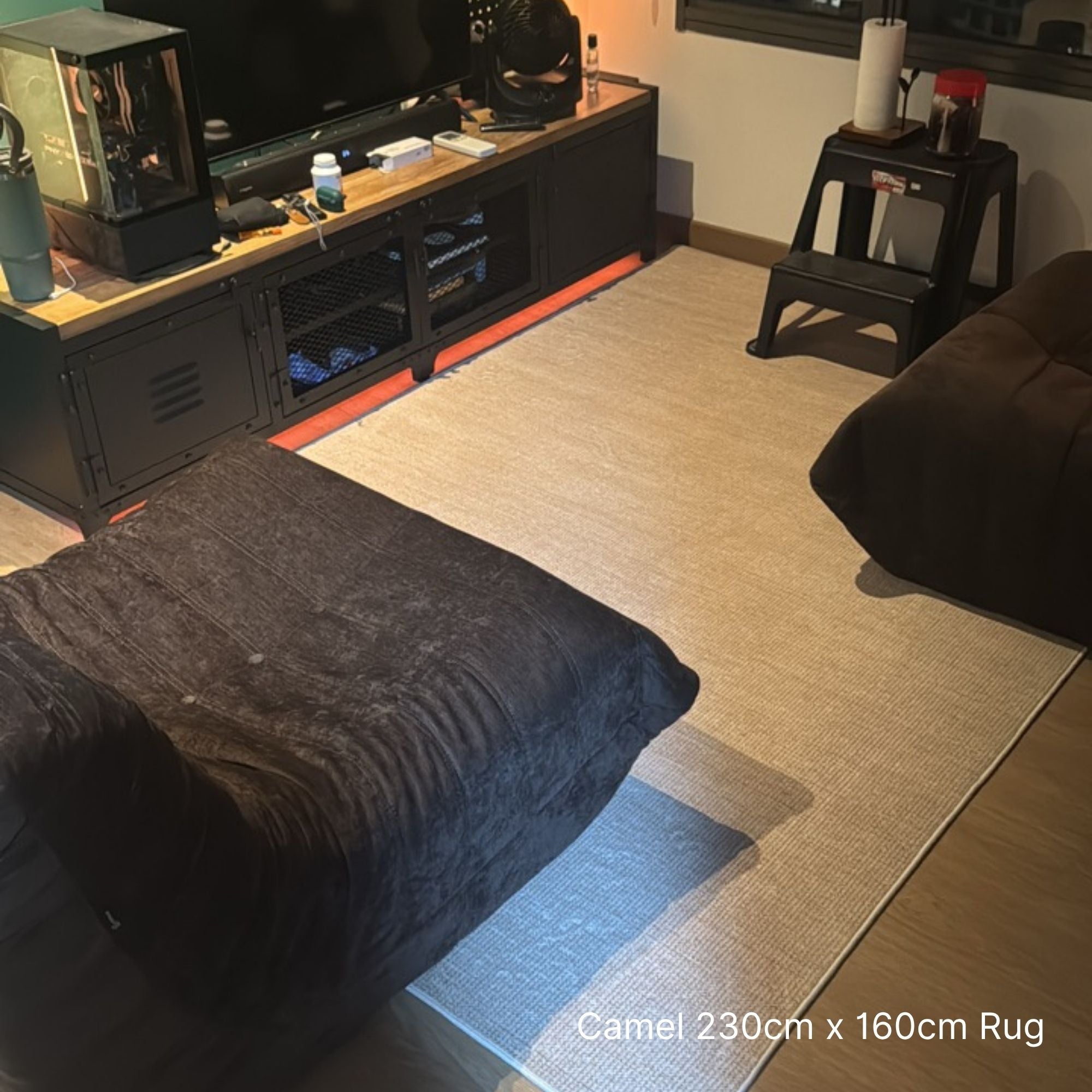 Living room with a camel-colored rug on the floor